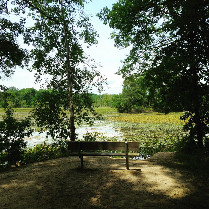 Kensington Metropark - 2015 Photo